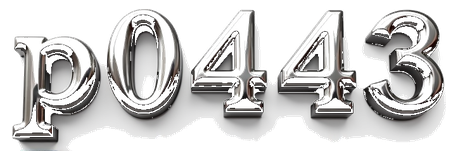 p0443 logo